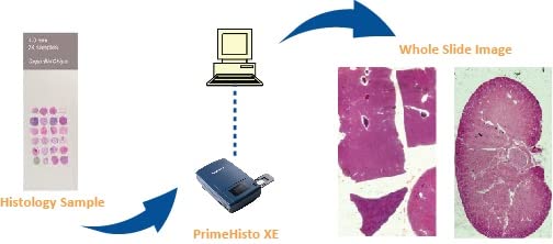 Pacific Image PrimeHisto XE. Microscope & Histology Slide Scanner. Manual Microscope Slide Scanning. 10000 dpi/48-bit Output. 3.9 Dynamic Range. Mac/Pc.