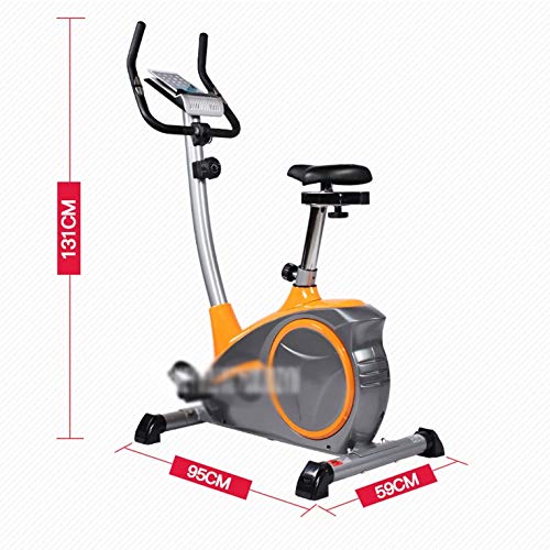 JAHH Bike Indoor Cycling Bike Adjustable Bike Home Gym Workout Fitness Machine With Monitor Maximum Load 100kg (Color : white-Dinosaur Doodle4)