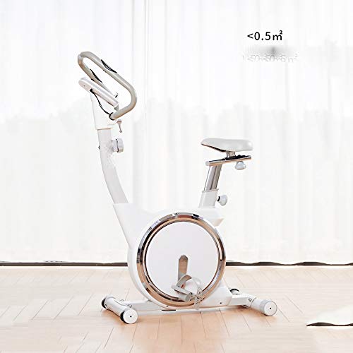 JAHH Silver Spinning Bike Stationary Spin Bike with Resistance Exercise Bikes Indoor Cycling Bike